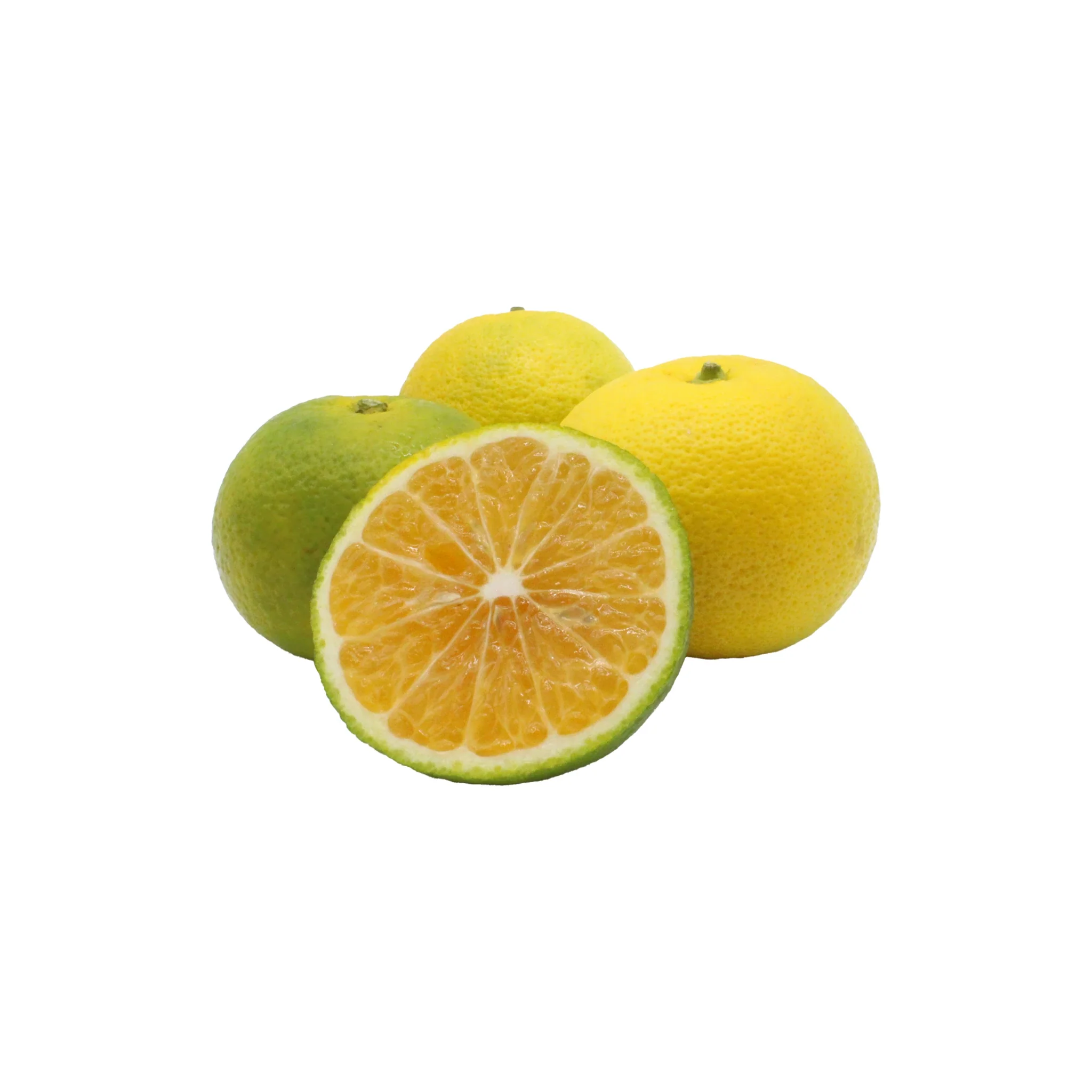 Fresh Kabosu