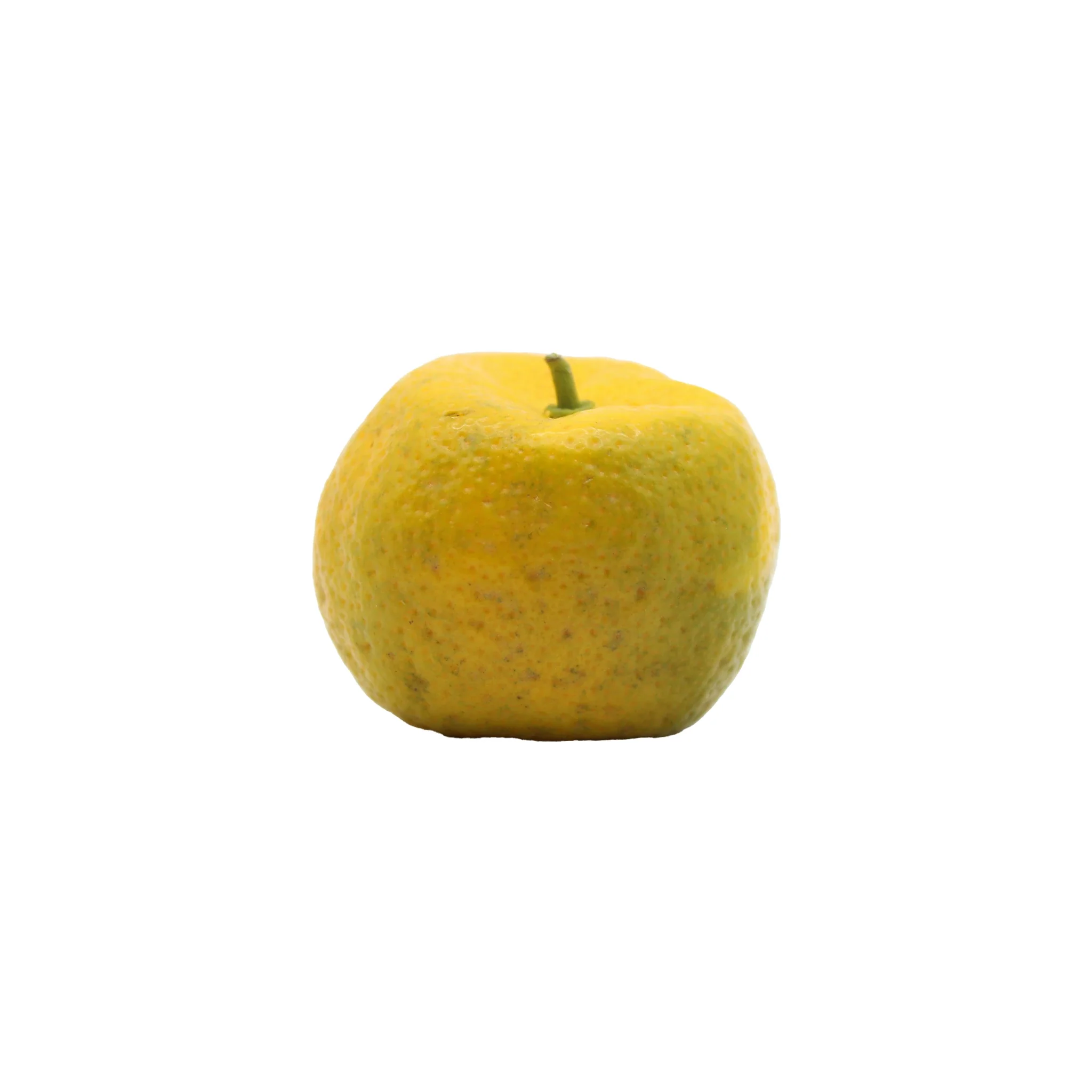 Fresh Tachibana - Image 6