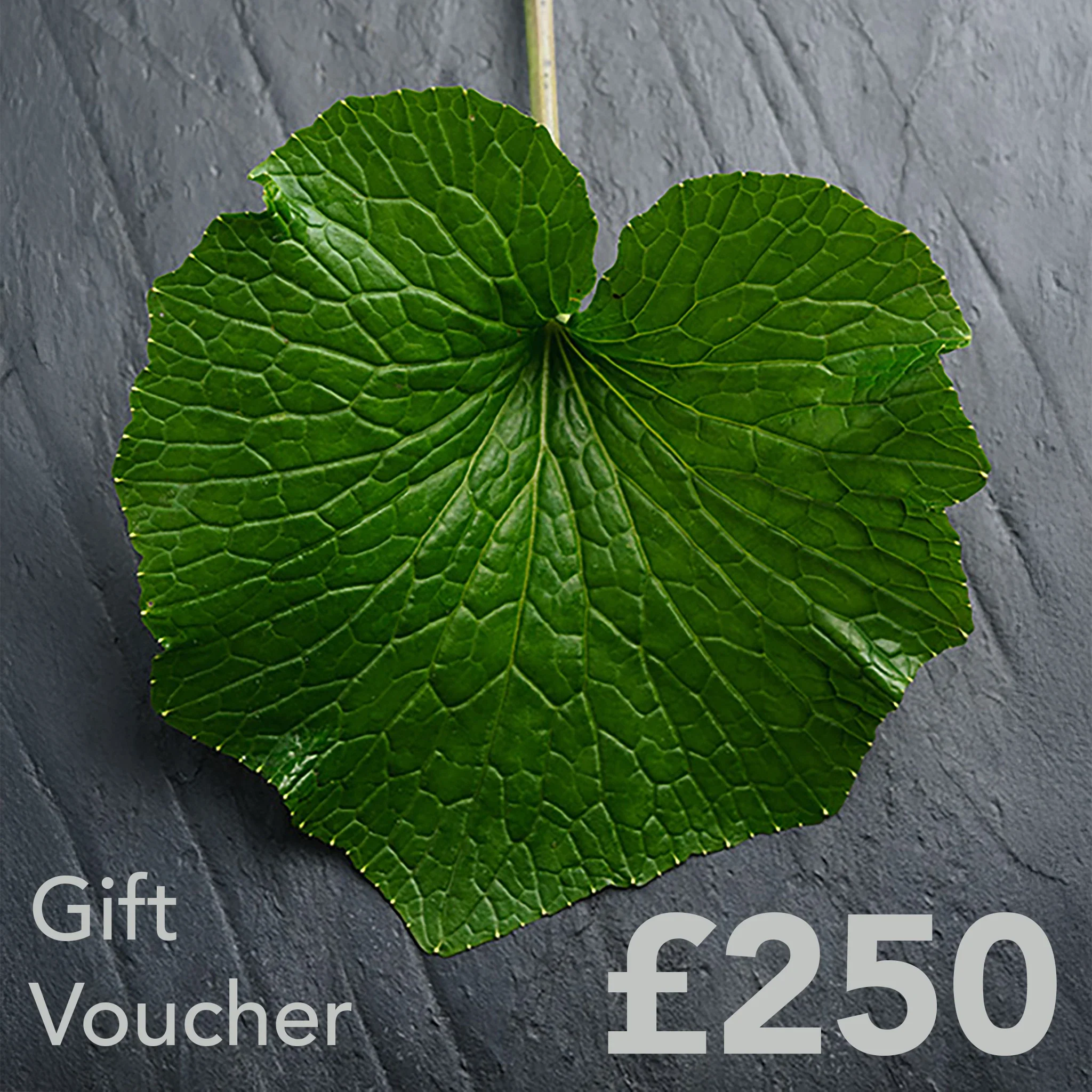 The Wasabi Company Gift Card - Image 13
