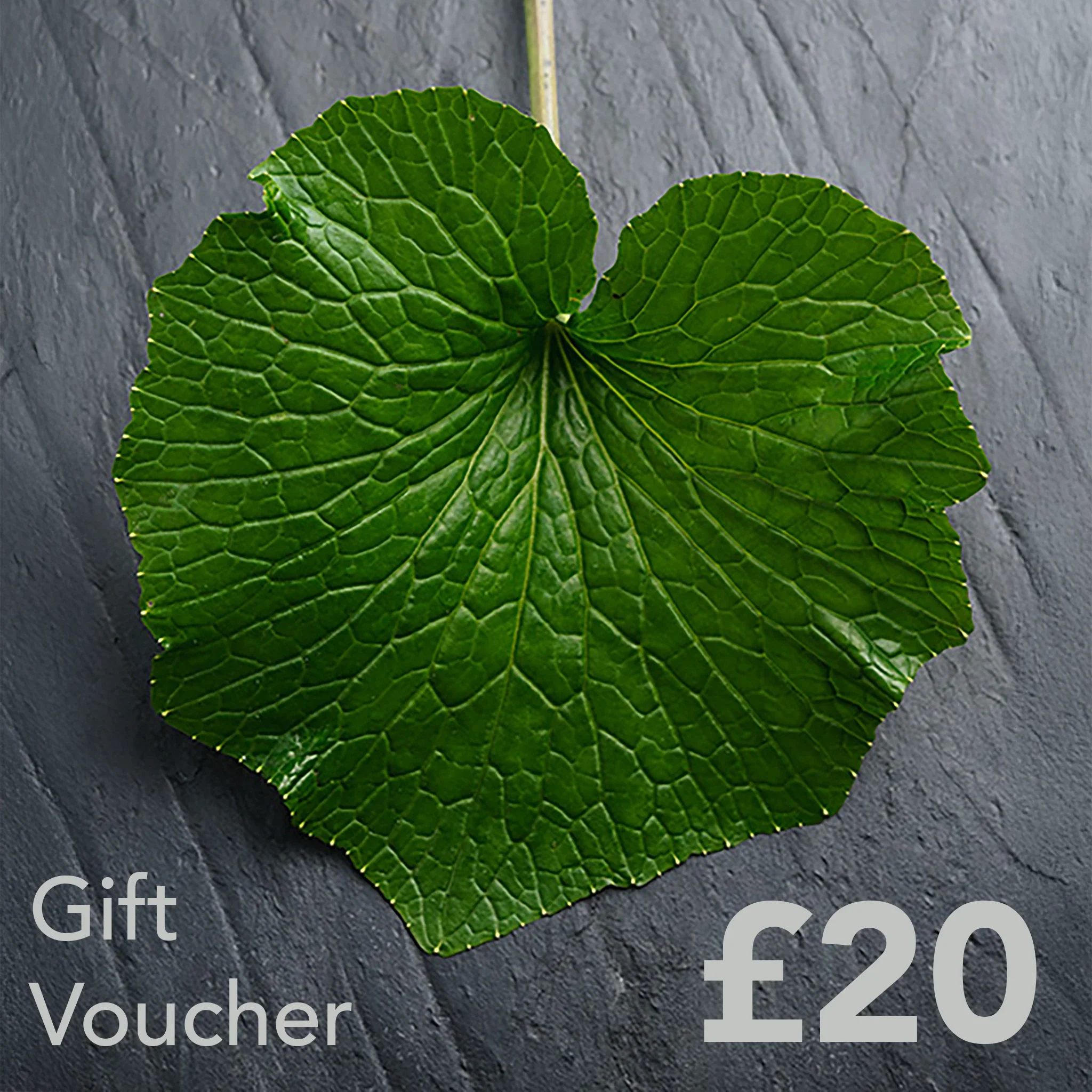 The Wasabi Company Gift Card - Image 14