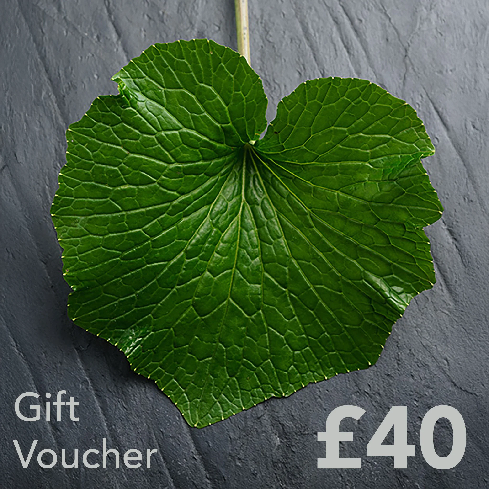 The Wasabi Company Gift Card - Image 6